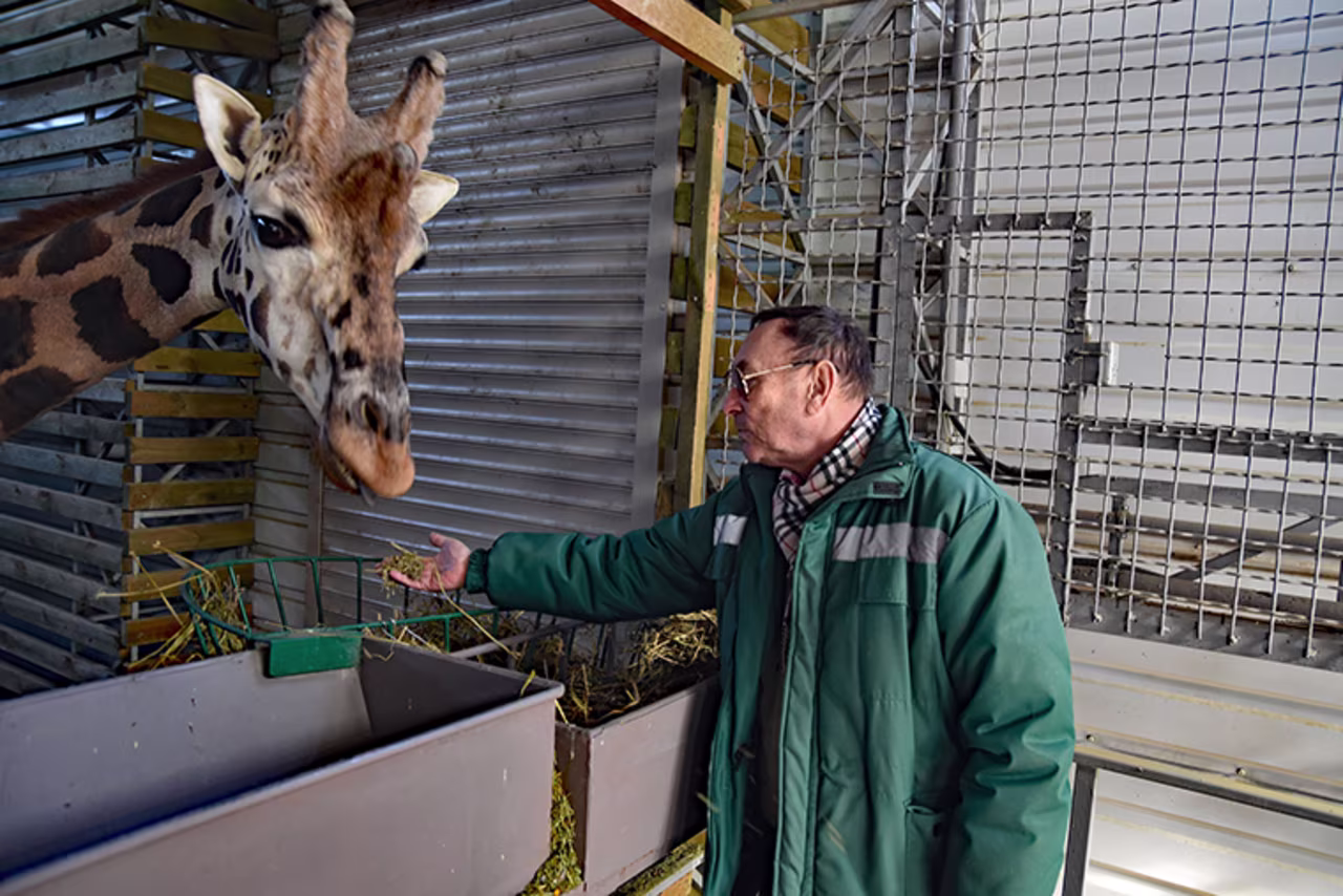 Director Vladimir Topchy issued a pleas for international assistance after the zoo of Mykolaiv was hit in strikes by the Russian military. 