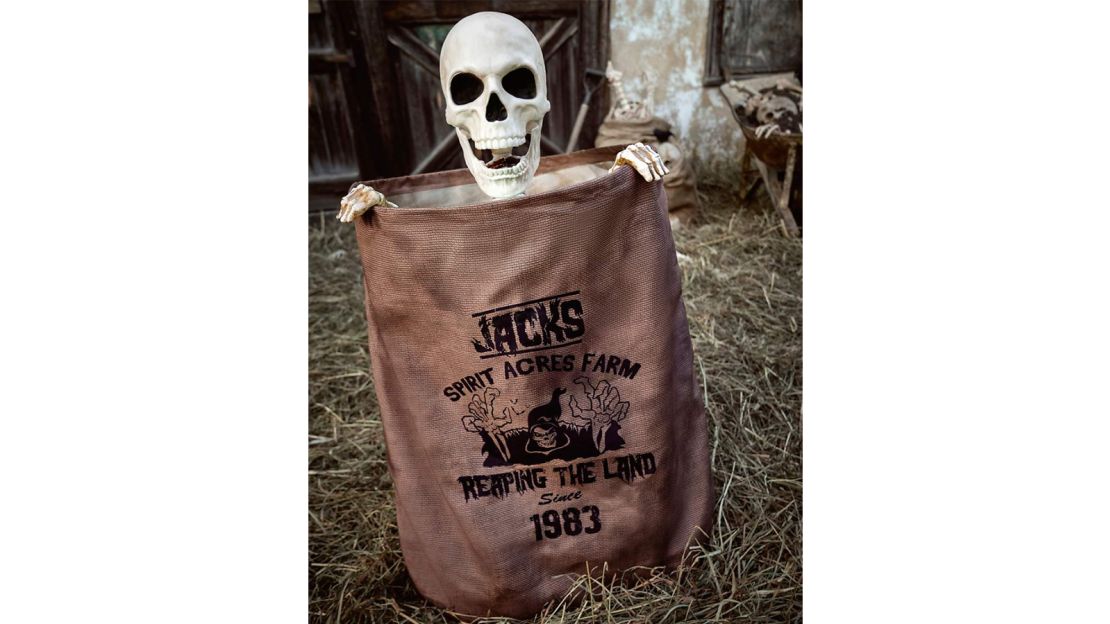 3-Foot Bag O’ Bones Animatronic