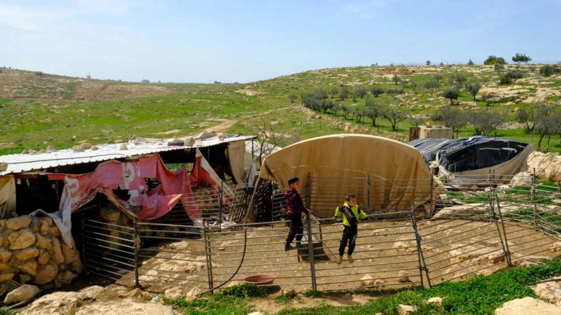 La familia de Hamdan Ballal cría cabras y gallinas en su tierra en la aldea de Susya, en la Ribera Occidental ocupada.