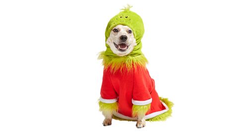Bark Grouchy Slouchy Grinch Costume