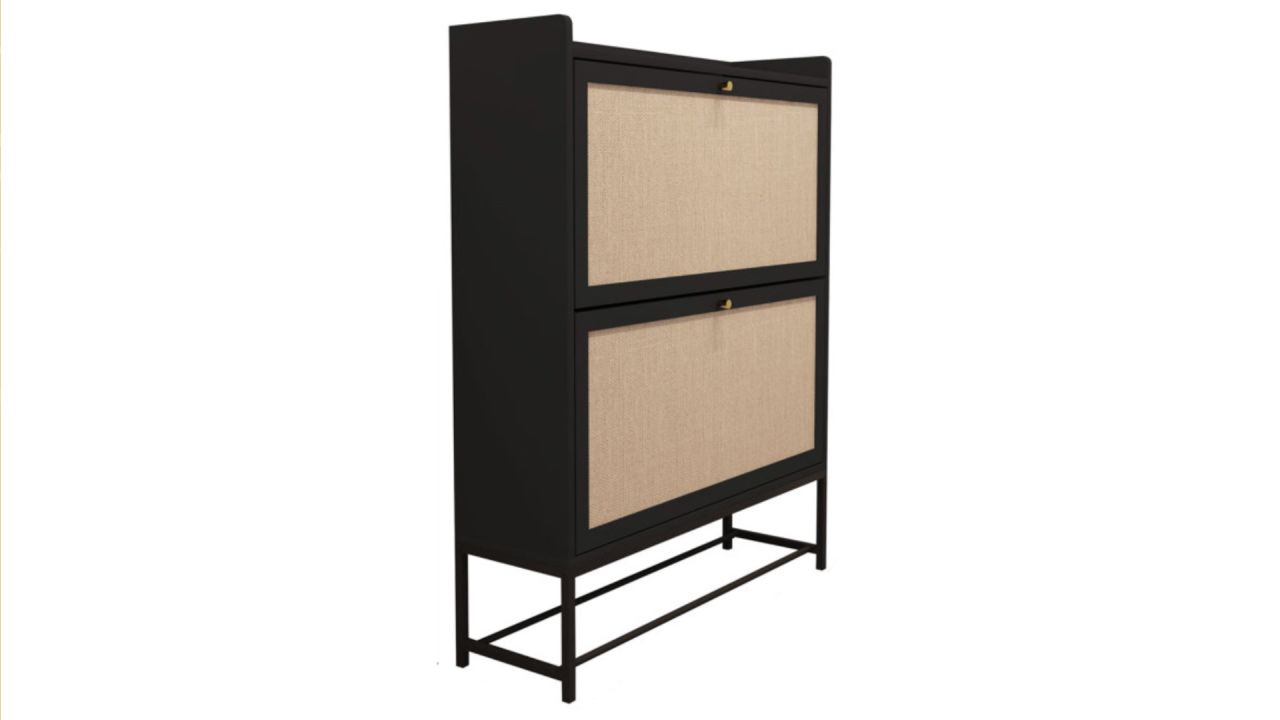 Bay Isle Home 20 Pair Shoe Storage Cabinet .jpg