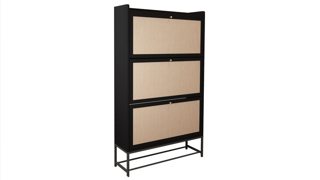 Bay Isle Home 28 Pair Shoe Storage Cabinet .jpg