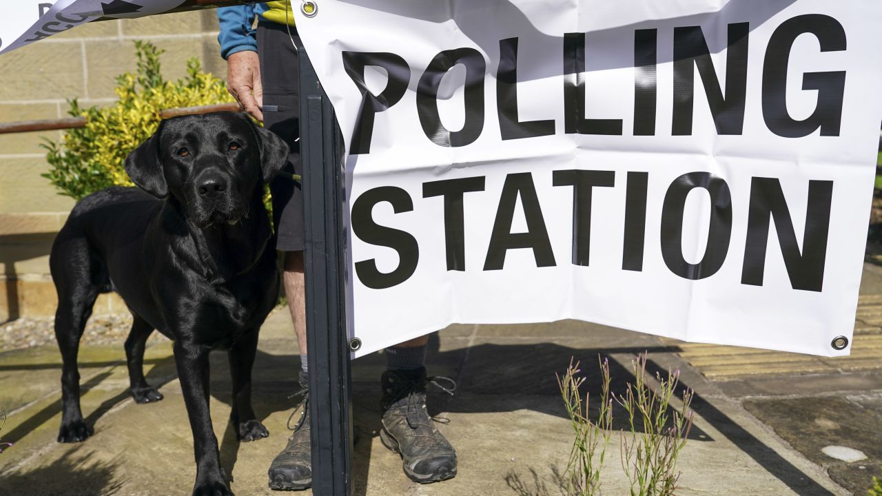 A dog waits outside a polling station as voters go to the polls in the UK general election on July 4, in Ingleby Cross, England. 