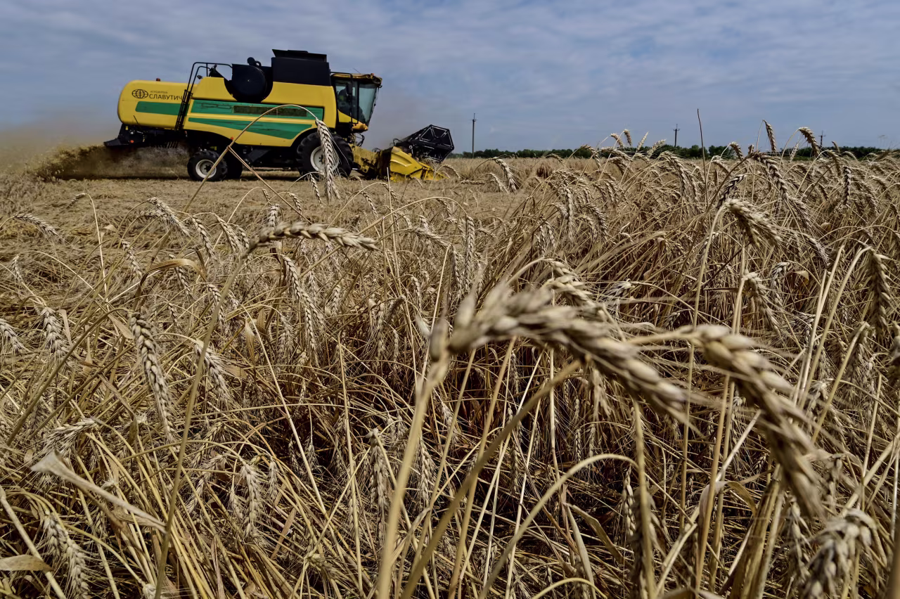 An agricultural worker operates a combine during a wheat harvesting in a field in Zaporizhzhia region, Ukraine, on July 14, 2023.