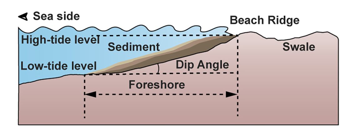 A graphic shows how ocean tides and winds carry sediment toward the shoreline on Earth, where the sediment forms beaches. Ancient Mars may have experienced a similar scenario.