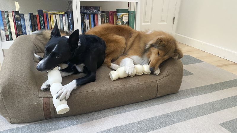 Bed for a dog that shops chews