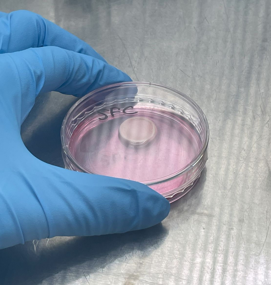 Because cultured meat is not yet edible, researchers used an electronic nose to test the aromas of cultured meat, and see how they compared to conventional meat.