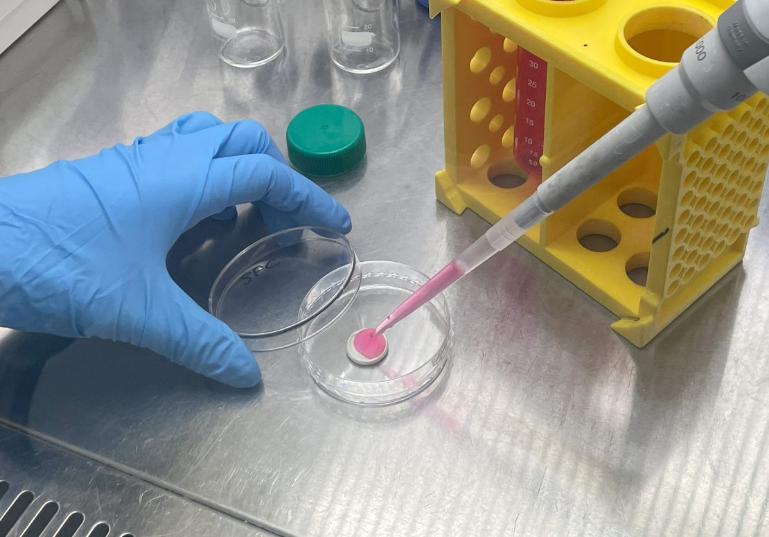 Scientists have developed a "flavor switchable scaffold" to mimic the enticing flavor and aroma of grilled beef.