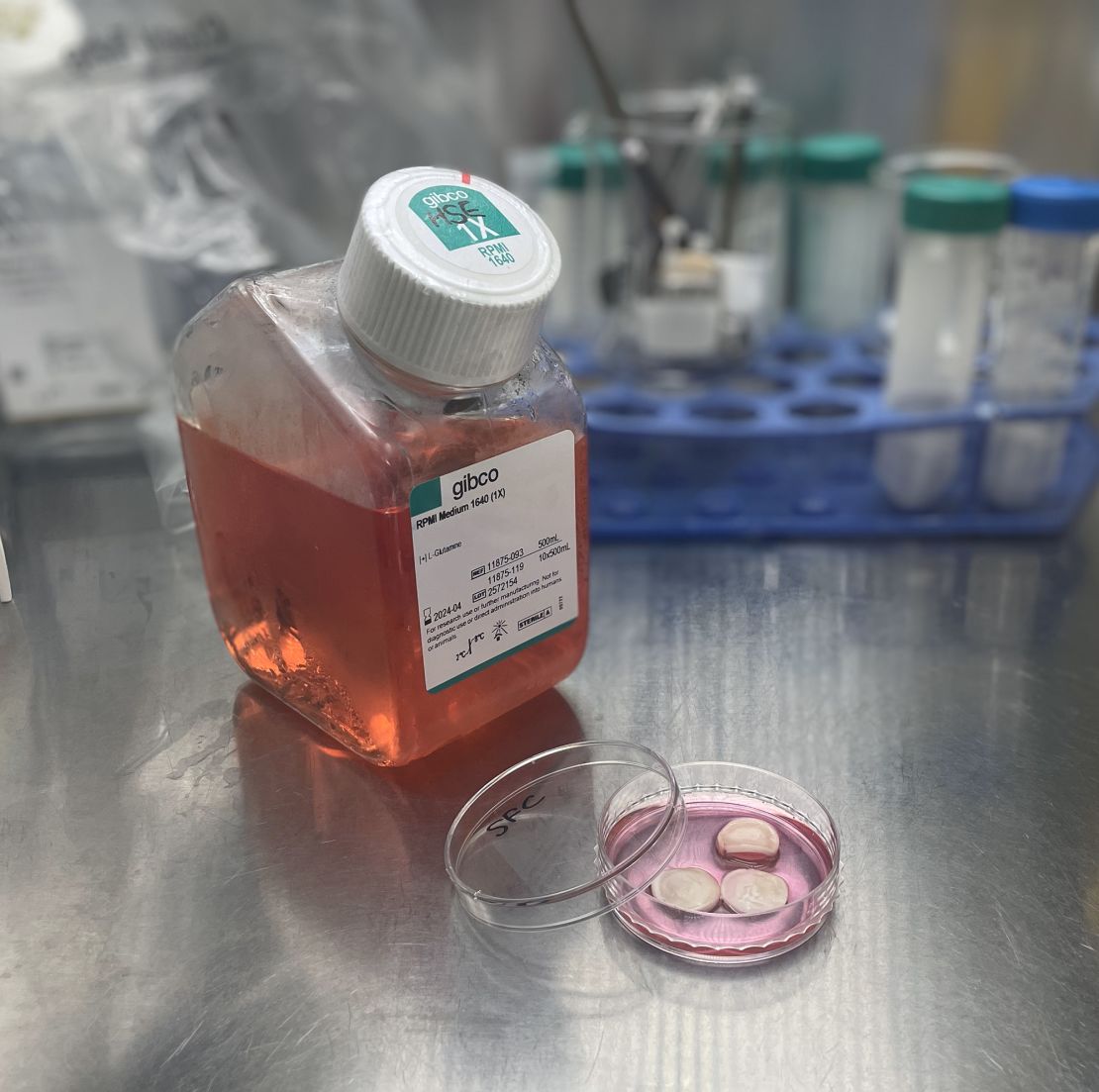 The researchers mimicked the taste of traditional meat by recreating the flavors produced during the Maillard reaction, which gives meat a burnt taste.