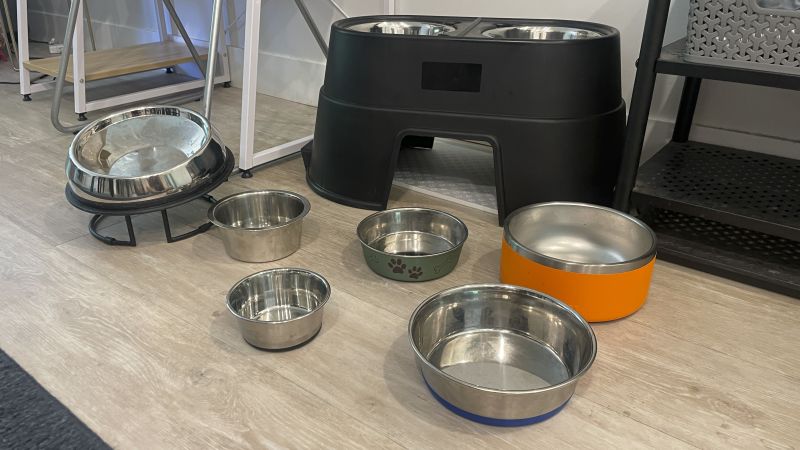 The best dog bowls in 2024 tried and tested CNN Underscored