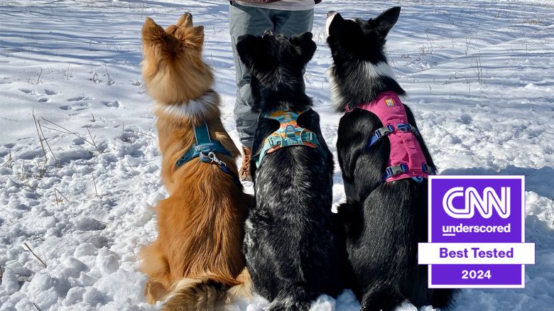 best dog harness 2024 badge cnnu.jpg