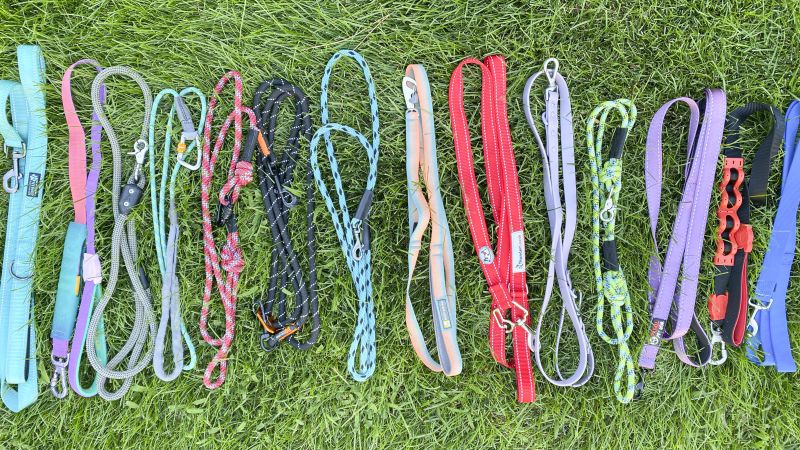 Best dog leashes in 2024 tried and tested CNN Underscored