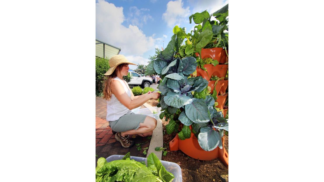 7 Best Grow Bags for Indoor and Outdoor Growing in 2023 - Gardening  Products Review