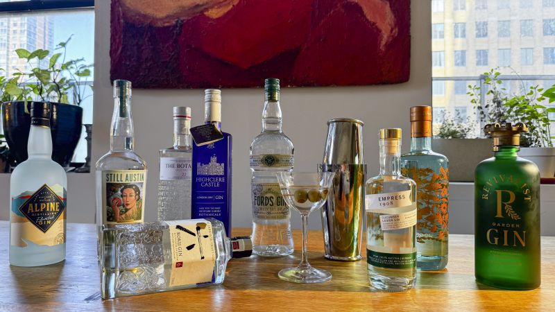 9 Best Gins, According To Cocktail Experts | CNN Underscored