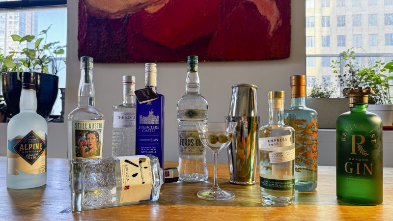 9 best gins, according to cocktail experts | CNN Underscored