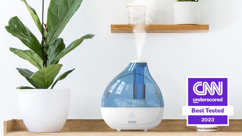 12 Best Humidifiers of 2023 - Humidifiers for Dry Skin, Allergies