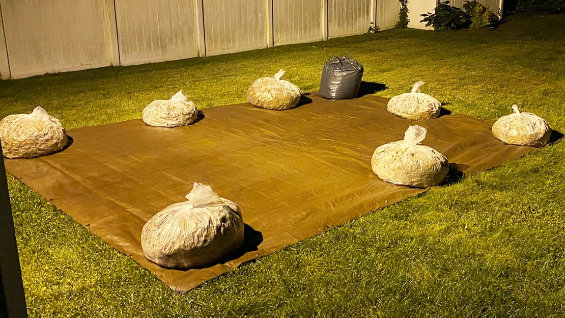 After testing each leaf blower, one per day, in the evenings we bagged the pile of leaves that day's leaf blower created. Our lawn was littered with leaves within a few days, so we just continued testing using a different leaf blower when the yard was full of leaves.