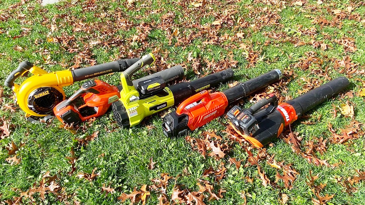 <em>(left to right): </em>These electric cordless models from Dewalt, Husqvarna, Ryobi, Echo and Worx didn't beat the Ego Power+ LB6504 in our testing, but they did provide some stiff competition.