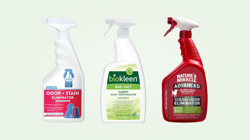 Best pet odor eliminators per cleaning experts CNN Underscored