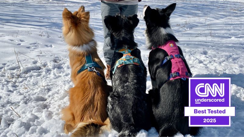 Best dog harnesses in 2025, tried and tested | CNN Underscored