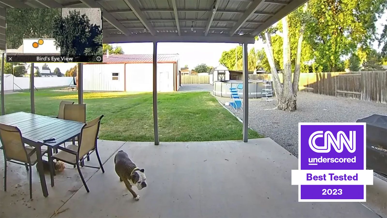 Ring doorbell camera captures unexpected act of heroism