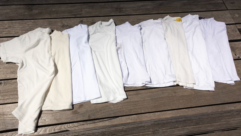 Best white T shirts for women in 2024 tried and tested CNN Underscored