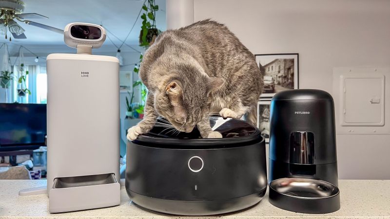 best automatic pet feeder for multiple cats