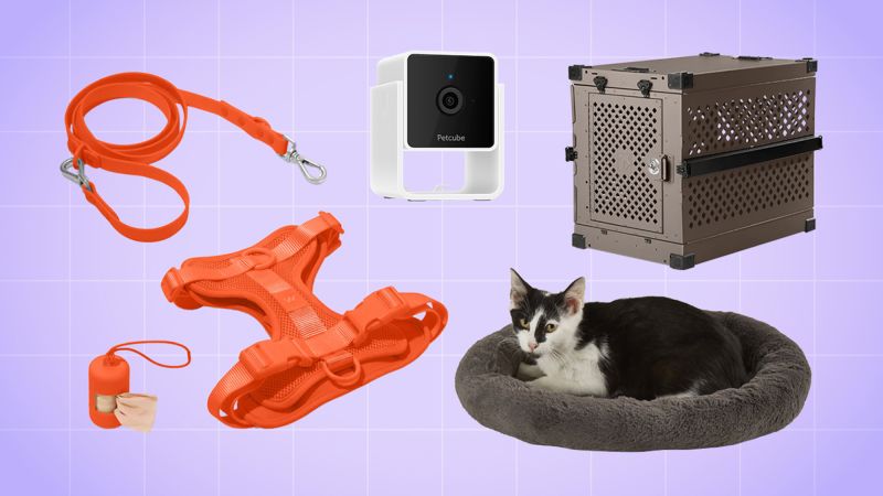 Whiskers and co collapsible cat outlet bed