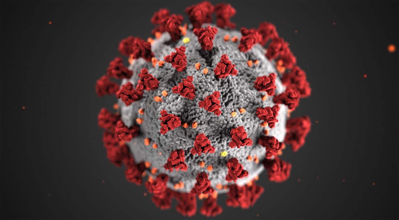 This illustration, created at the Centers for Disease Control and Prevention (CDC), reveals ultrastructural morphology exhibited by coronaviruses. 