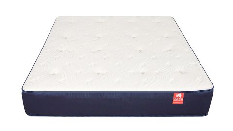 big fig mattress cnnu.jpg