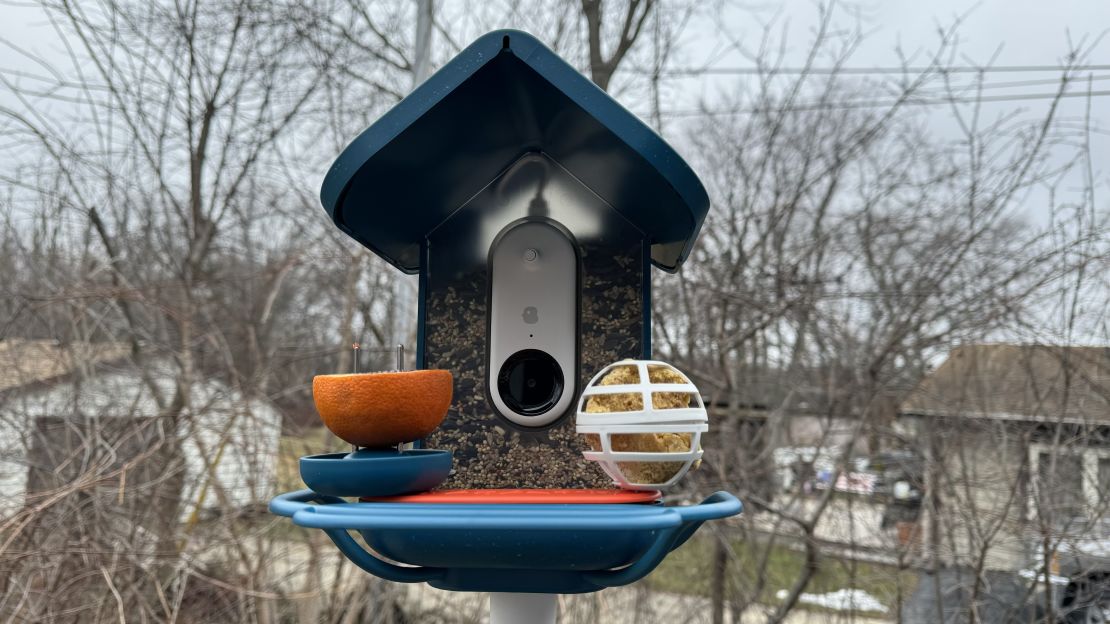 bird-buddy-smart-bird-feeder-15-cnnu.jpeg