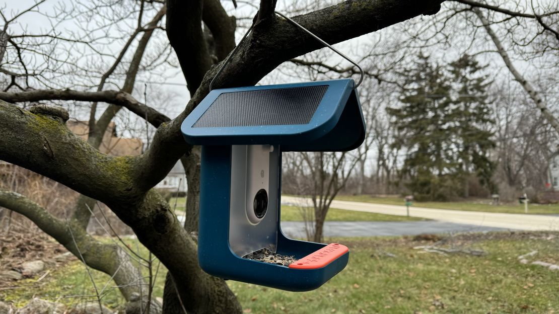 bird-buddy-smart-bird-feeder-24-cnnu.jpeg