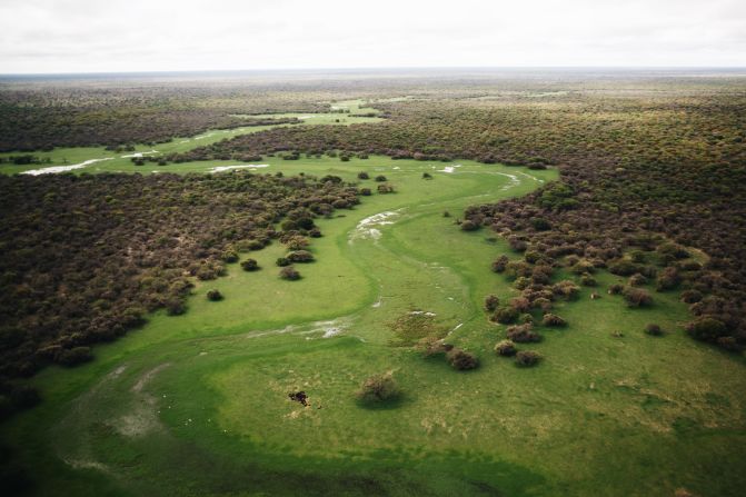 The routes vary between species, but generally they merge in the south of the country, <a href="https://www.africanparks.org/the-parks/badingilo-boma" target="_blank">around Badingilo National Park</a> during the wet season for breeding, before migrating north and east towards Boma National Park and the Sudd, and into Gambella National Park in Ethiopia.