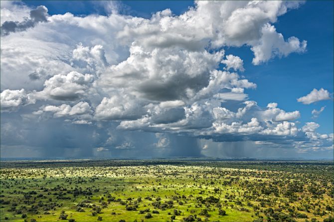 He suspects that the migration’s survival and growth is likely to be linked to the decades of war South Sudan has suffered. Development and the country’s human footprint has remained low as a result, leaving room for wildlife to thrive.