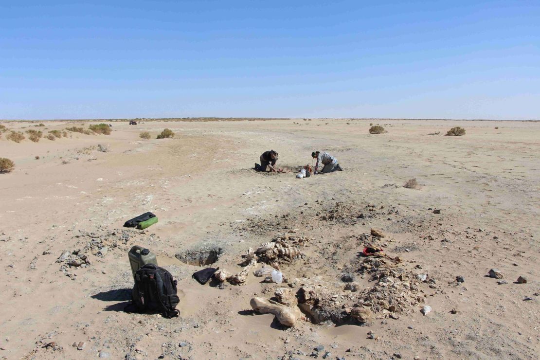 Volunteers on the archeological dig in Lake Callabonna, South Australia