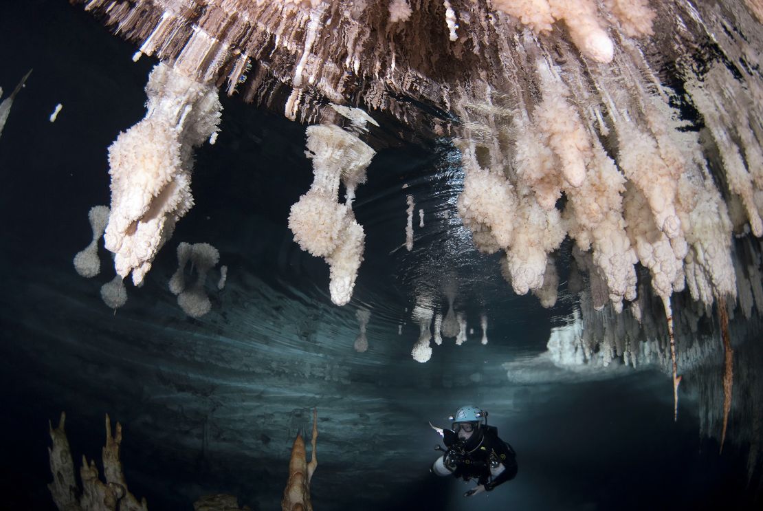 Mineral deposits on speleothems grow exactly at sea level, as seen pictured above the diver in the Galeria de les Delícies in Mallorca's Drac Cave. The submerged stalagmites grew when the sea level was much lower.