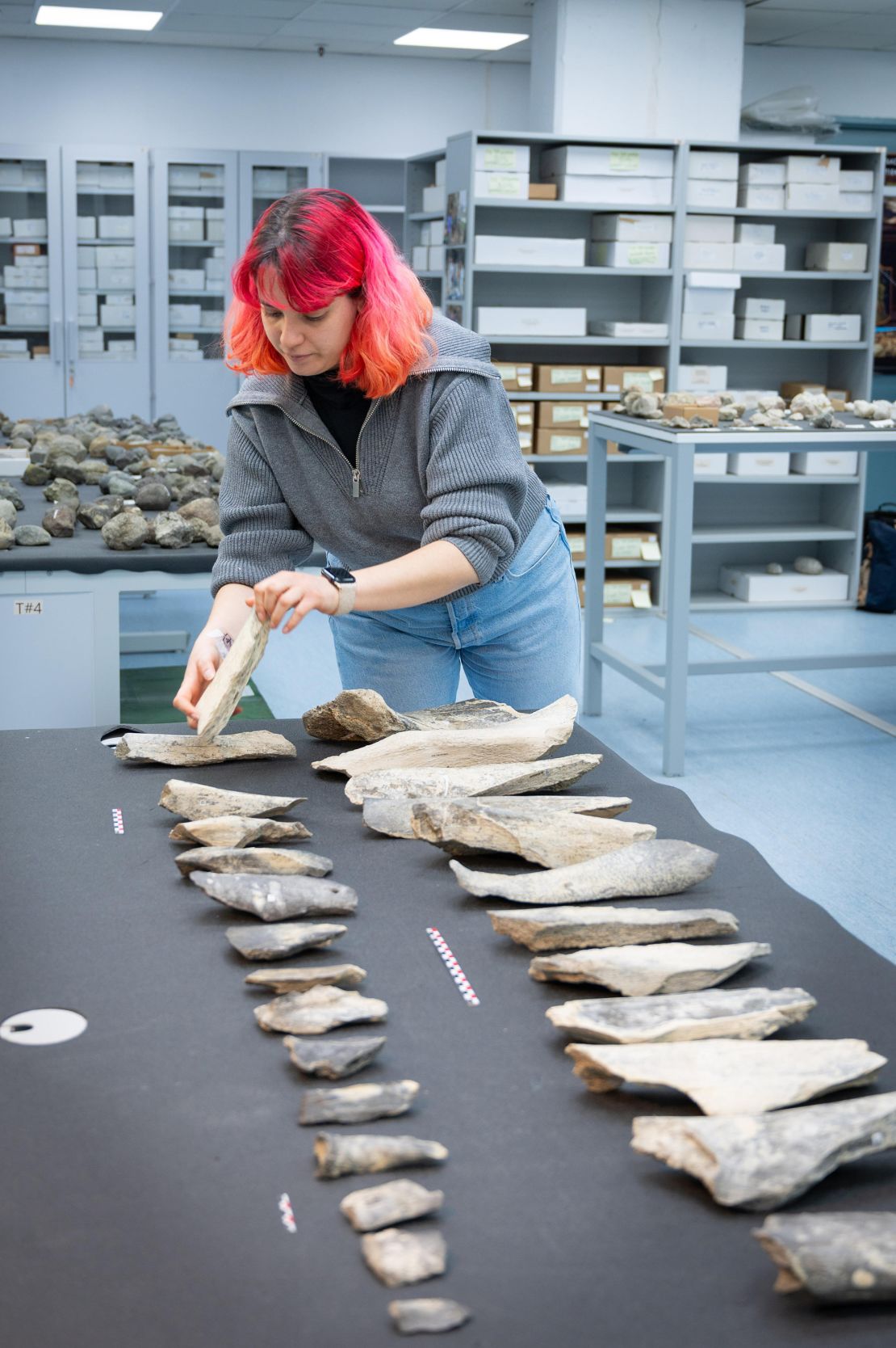 The 27 bone tools that archaeologists uncovered in Tanzania varied in size depending on which animal from which they originated.