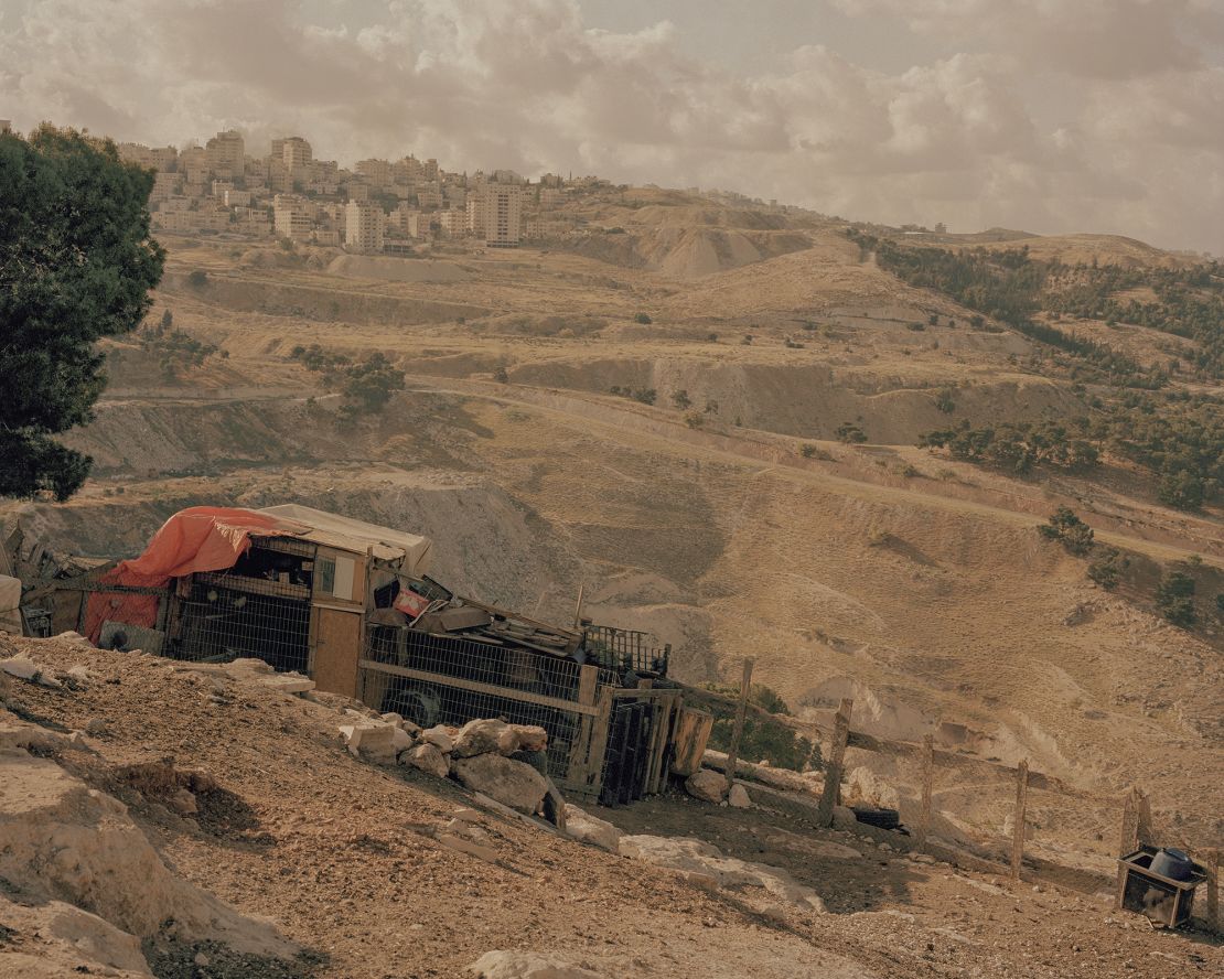 Poultry farming — especially turkeys — is widespread on Mount Jabal which has a high coverage of pine trees.