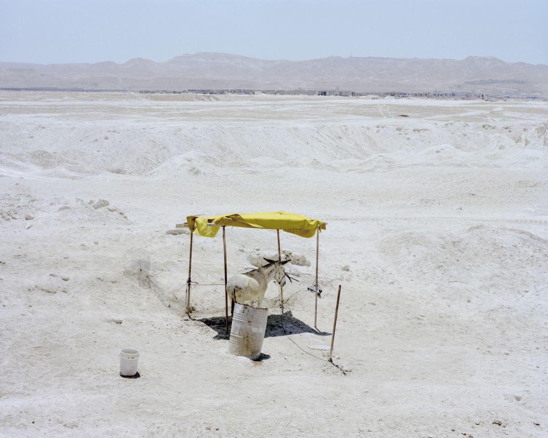 A donkey is pictured on a Bedouin homestead between Jericho and the Dead Sea. 