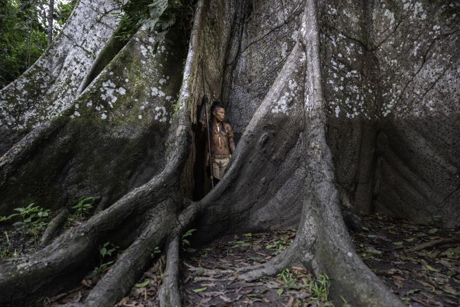 Mateo Borrero’s photograph “Waterline” won the Forest Ecosystem Award for its depiction of drought in Peru’s Amazon rainforest. It shows a man from the Ticuna indigenous people standing beside a gigantic Ceiba tree; the shoulder-high mark on its trunk illustrates where the waterline should be at the peak of the rainy season, said Borrero.
