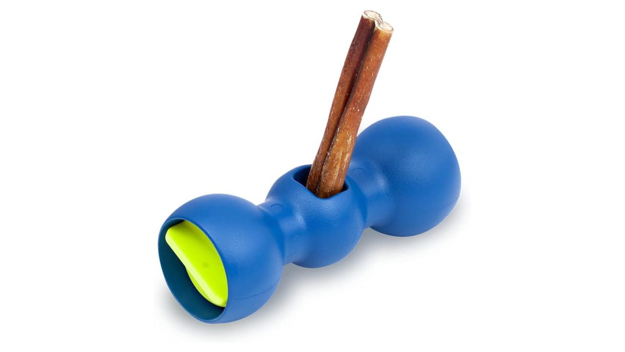 Our Tester Dogs Loved This Futuristic Toy, And It's On Sale Through Cyber  Monday
