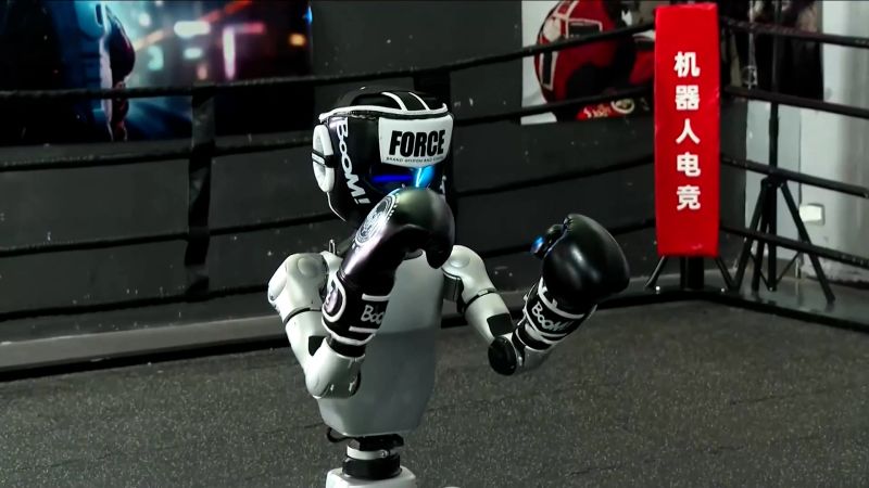 Watch robots fight in Chinese boxing competition
