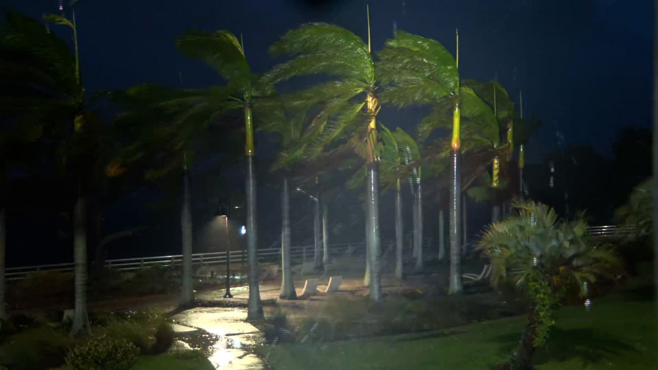 Trees are blown by high speed winds in Bradenton, Florida, on Wednesday.