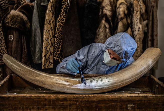 Britta Jaschinski shot a forensic expert trying to get fingerprints from a piece of ivory seized at Heathrow Airport in London.