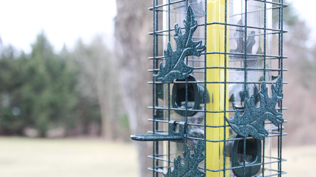 A close up view of the Brome Squirrel Solution 200's exterior cage.