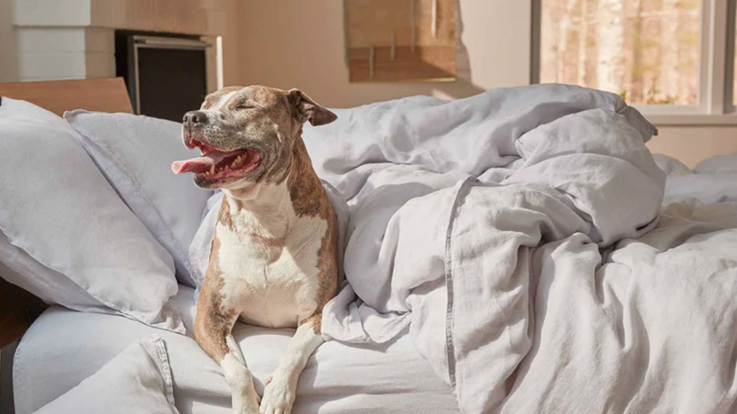 Brooklinen Lead 081924.jpg