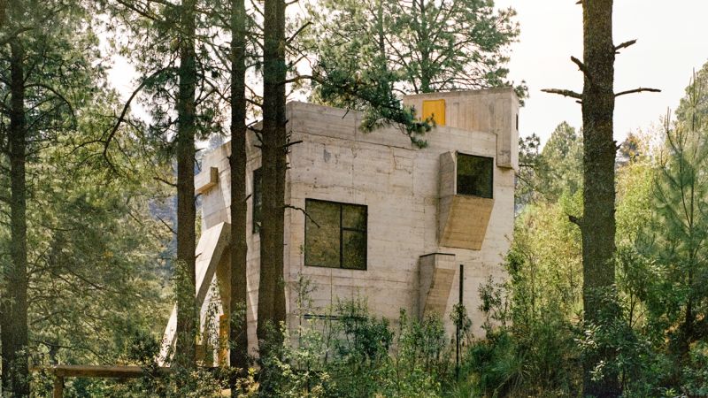 Striking photos show nature reclaiming brutalist concrete