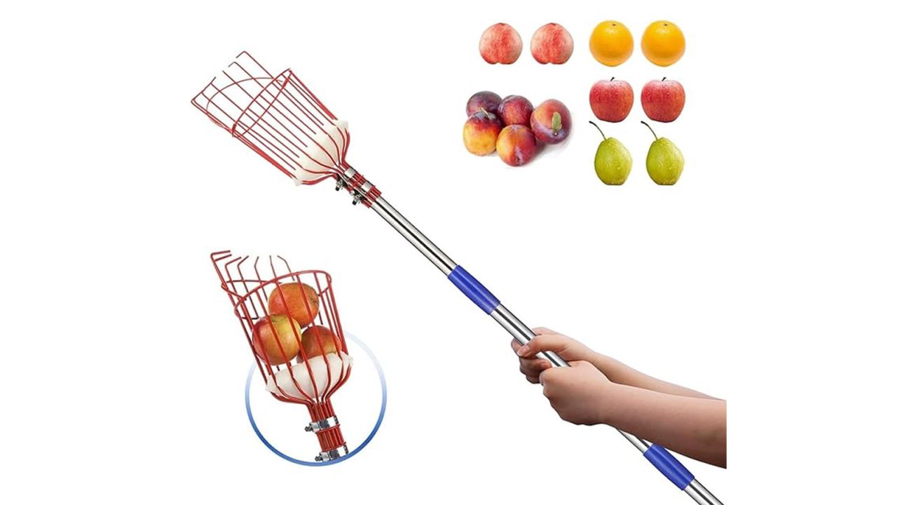 Bsbsbest Fruit Picker Pole With Basket.jpg