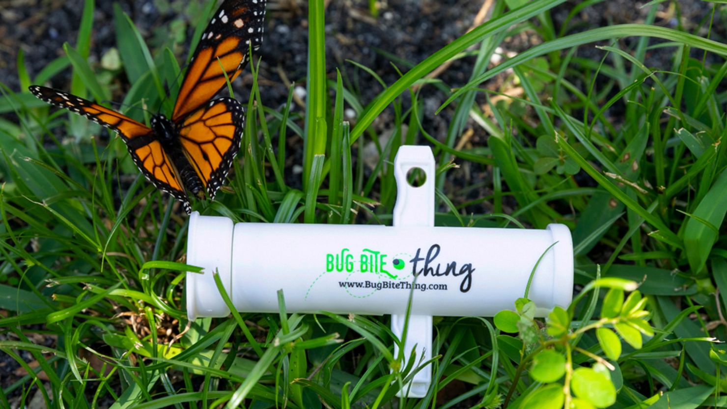 Bug Bite Thing review: This treatment can provide instant itch relief for bug  bites