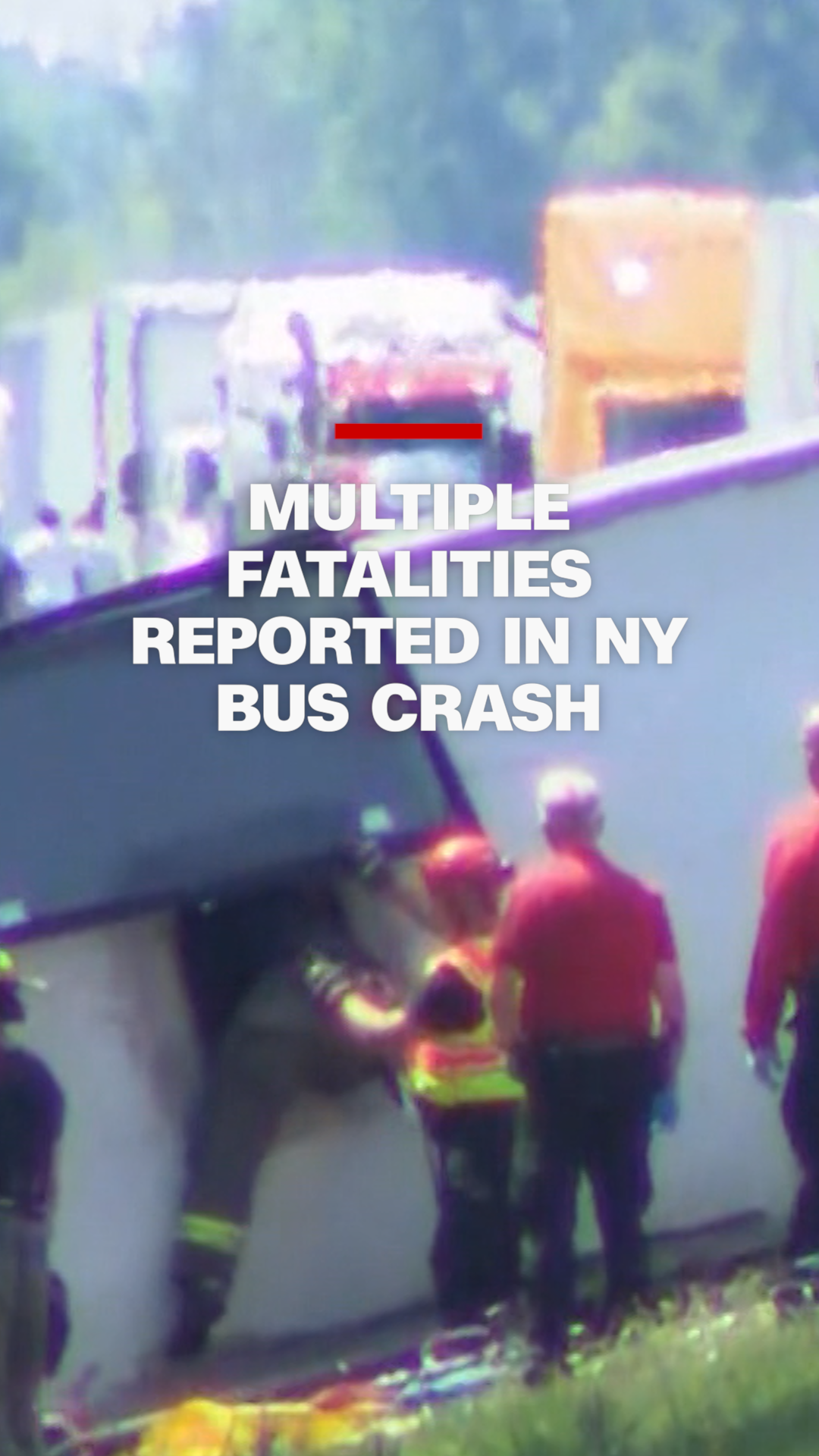 bus.png